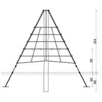 Robinio Kleine Pyramide - NV6858 x 25