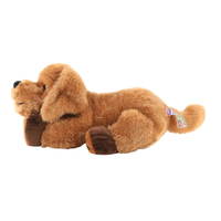 Therapeutische Tiere – Bild 13