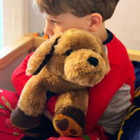 Therapeutische Tiere – Bild 8