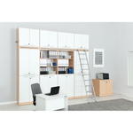Regalwand mit Leiter, T 48, H 301, 4-reihig – Ahorn Jylland, Türen weiß (Grande 27) - ZEST5337 g 19