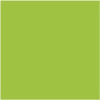 Schultisch höhenverstellbar VARIUS-T I – einsitzig - lime P389C