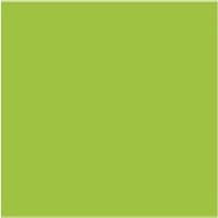 Computertisch BASIC-CT I - lime P389C