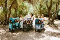 Wonderfold Van Gogh – Mandelblüten Kinderwagen - W2/W4 – Bild 7