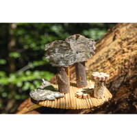 Bastelhalme natur - 300142 b 26