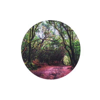 Spielmatte – Entdecke die Welt, Wald