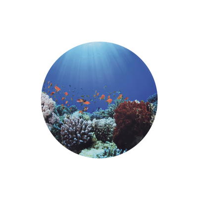 Spielmatte – Entdecke die Welt, Unterwasserwelt