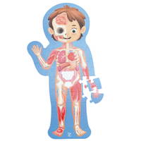 Anatomie-Puzzle, der Mensch - 531215 a 25