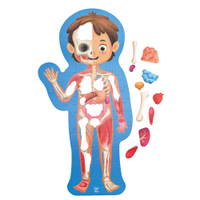 Anatomie-Puzzle, der Mensch - 531215 b 25