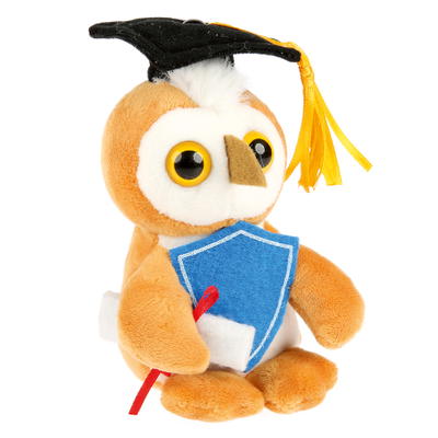 Absolventen-Maskottchen Eule