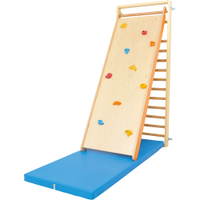 Kletterwand zum Einhängen, mit Klettergriffen - 092343 c 15