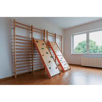 Kletterwand zum Einhängen, mit Klettergriffen - 092343 d 24
