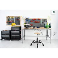 Werkzeugwand zur Werkbank, B 149 cm - 098354 f 21