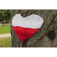 Krepppapierstreifen, B 10 cm - 113502 e 26