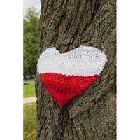 Krepppapierstreifen, B 10 cm - 113502 f 26