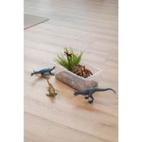 Betzold Dinosaurier-Set, 6-tlg.