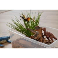 Betzold Dinosaurier-Set, 6-tlg.