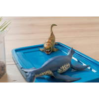 Betzold Dinosaurier-Set, 6-tlg.