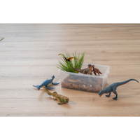 Betzold Dinosaurier-Set, 6-tlg.