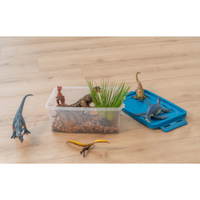 Betzold Dinosaurier-Set, 6-tlg.