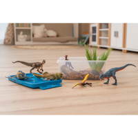 Betzold Dinosaurier-Set, 6-tlg.